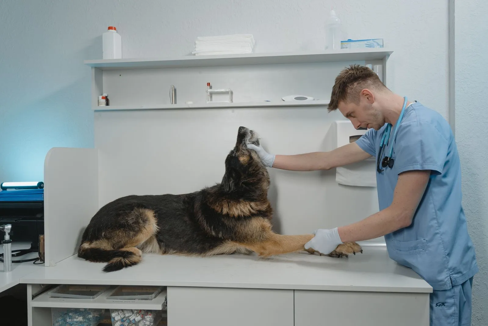 Recognizing Signs Your Pet Needs Veterinary Care